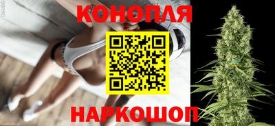 сатива Пенза