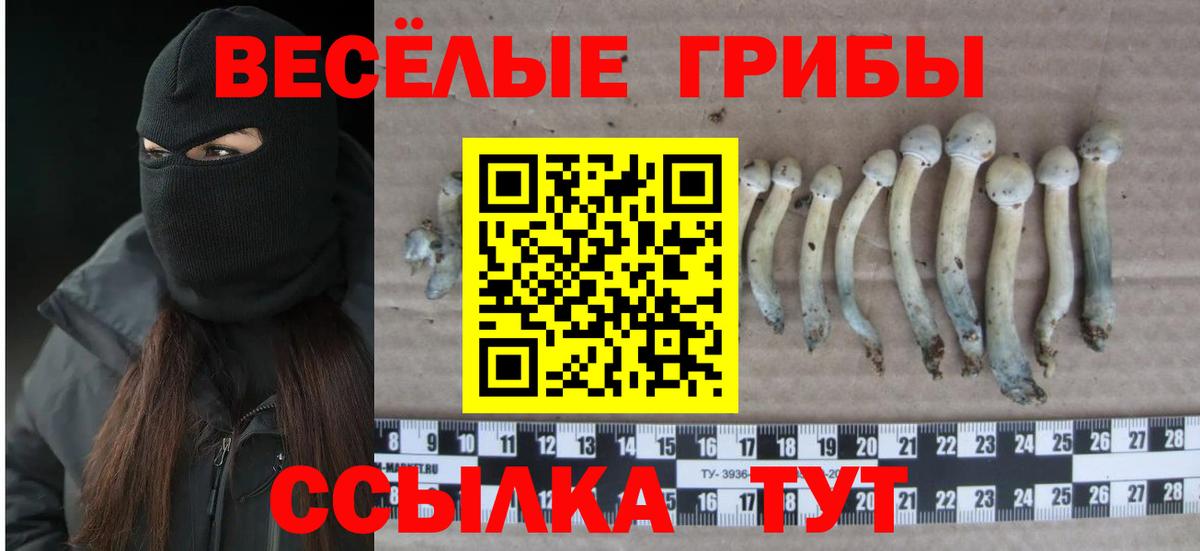 Обнинск  Галлюциногенные грибы Magic Shrooms  Вход с VPN 
